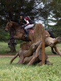 IMG_2385 IMG_2385