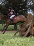 IMG_2386 IMG_2386