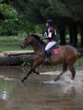 IMG_2387 IMG_2387