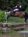 IMG_2395 IMG_2395