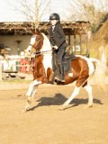 DSC04523