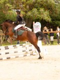 DSC08384 DSC08384