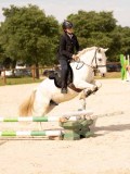DSC04288 DSC04288