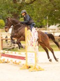 DSC05287