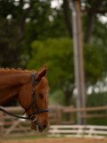 24_00486 24_00486