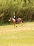 DSC01520 DSC01520