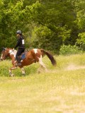 DSC01523 DSC01523