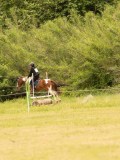 DSC01524 DSC01524