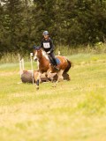 DSC01525 DSC01525