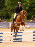 DSC00375 DSC00375