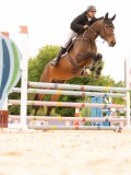 DSC01695 DSC01695