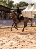 DSC03624 DSC03624
