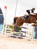 DSC04356 DSC04356