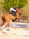 DSC08458 DSC08458