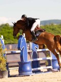 DSC04919 DSC04919