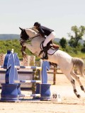 DSC03754 DSC03754