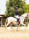 DSC03466 DSC03466
