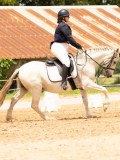 DSC03479 DSC03479