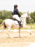 DSC03480 DSC03480
