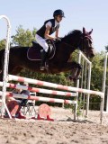 DSC03839 DSC03839