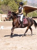 DSC03843 DSC03843