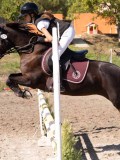 DSC03844 DSC03844