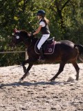 DSC03845 DSC03845