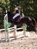DSC03846 DSC03846