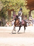 DSC03847 DSC03847