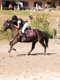 DSC03849 DSC03849