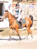 DSC03530 DSC03530