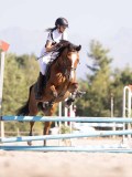 DSC03534 DSC03534