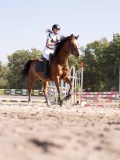 DSC03535 DSC03535