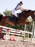 DSC03536 DSC03536