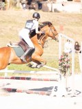 DSC03538 DSC03538