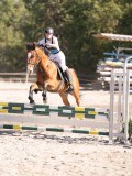 DSC03540 DSC03540