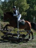 DSC_6012 DSC_6012