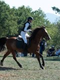 DSC_6017 DSC_6017