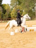 DSC08839 DSC08839