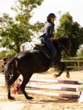 DSC08545 DSC08545