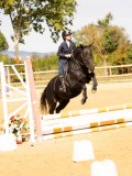 DSC08546 DSC08546