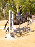 DSC08550 DSC08550