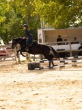DSC08558 DSC08558