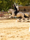 DSC07901 DSC07901