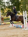 DSC07431 DSC07431