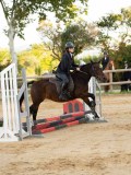 DSC07436 DSC07436
