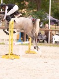 DSC09844 DSC09844