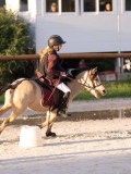 DSC05949 DSC05949