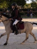 DSC05960 DSC05960