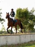 DSC08071